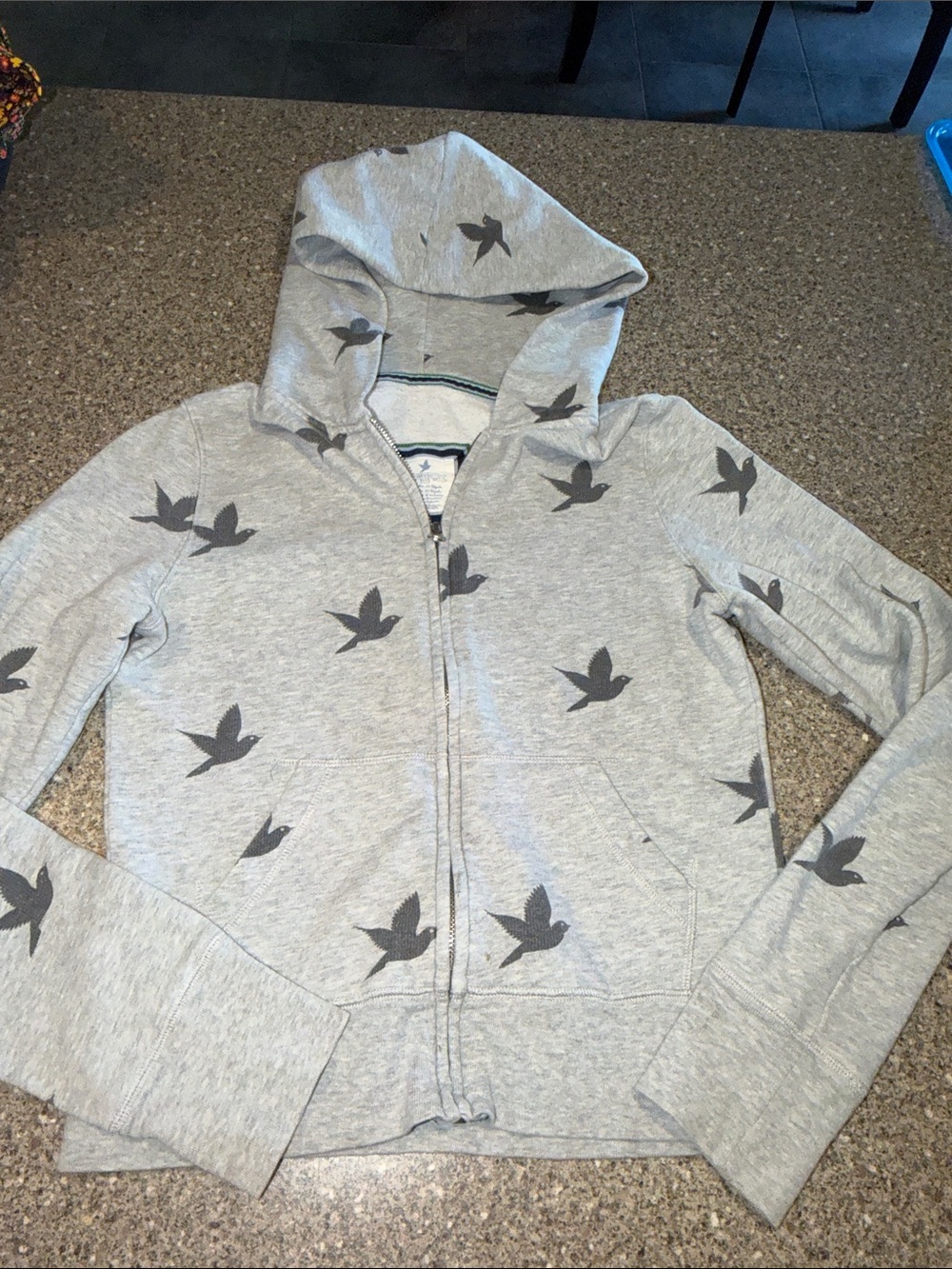 Aerie Y2k Bird print Crop hoodie